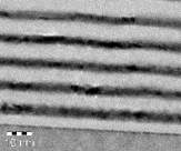 Cross-Sectional Transmission Electron Micrograph of the a low-gamma Mo/Si multilayer