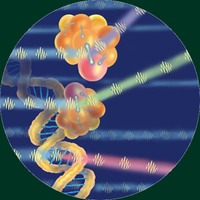 Biomolecular Photonics - Spontaneous Raman