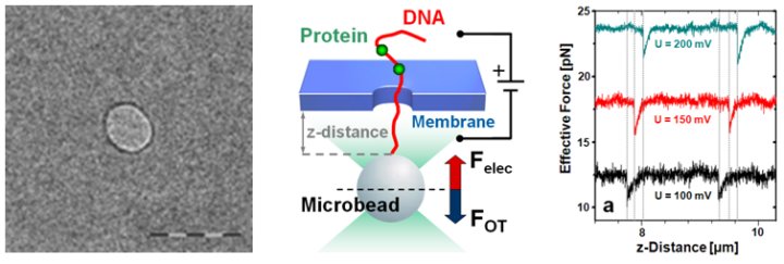 SOLID STATE NANOPORES EPUB DOWNLOAD SOLID STATE NANOPORES EPUB DOWNLOAD