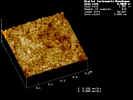 aub03.jpg (68584 Byte)