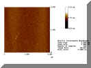 dna12b2.jpg (66616 Byte)