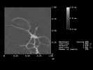 dna2_6.jpg (52043 Byte)