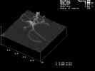 dna2_7.jpg (39724 Byte)