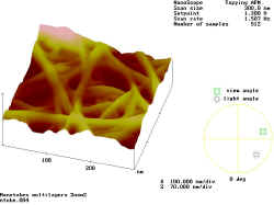 nano03.JPG (62795 Byte)