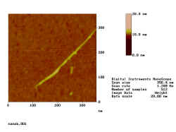 nano_single.JPG (51464 Byte)