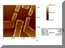 tran3-a.jpg (53157 Byte)
