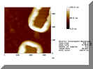 tran4-a.jpg (45440 Byte)