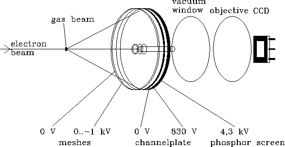 principle of the 2D detector