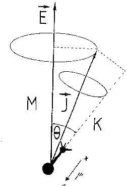 vetors of angular momentum