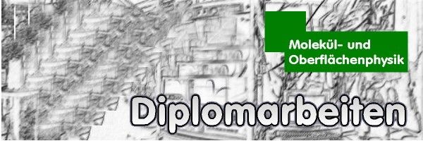 Diplomarbeiten