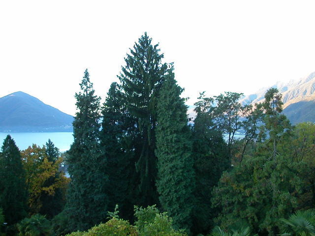 640x480/dscn6763.jpg