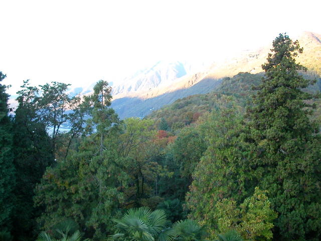 640x480/dscn6764.jpg
