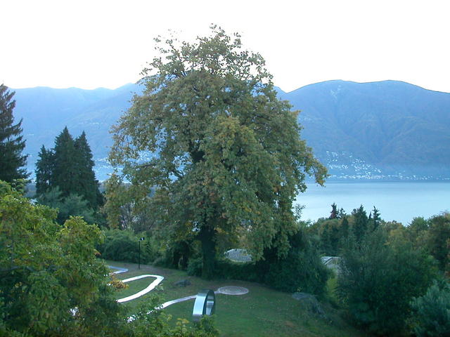 640x480/dscn6765.jpg