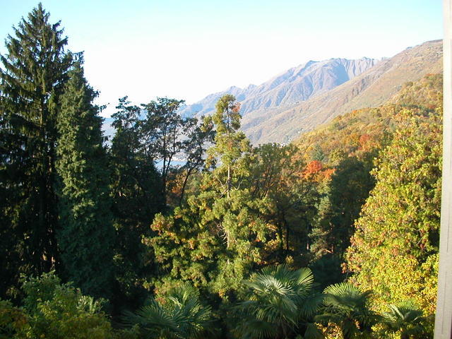 640x480/dscn6767.jpg