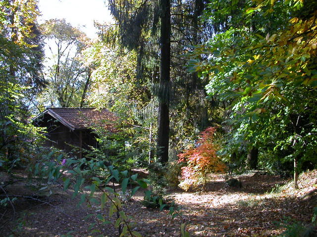 640x480/dscn6796.jpg