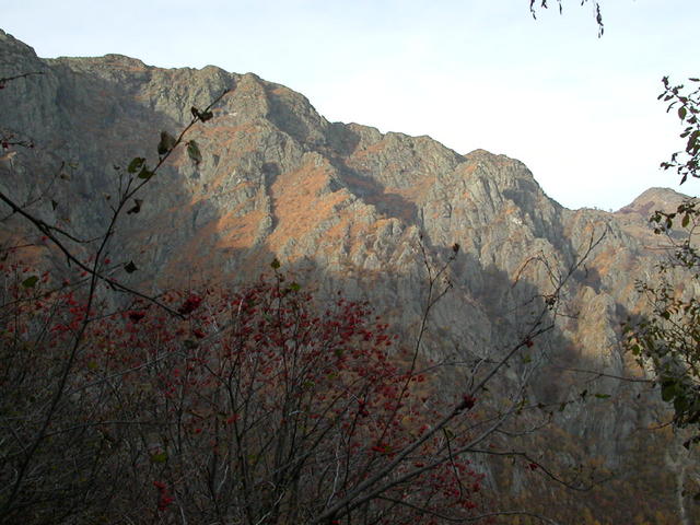 640x480/dscn6802.jpg