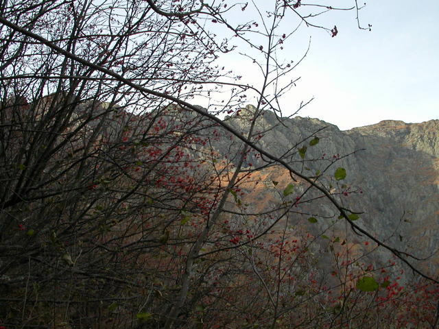 640x480/dscn6803.jpg