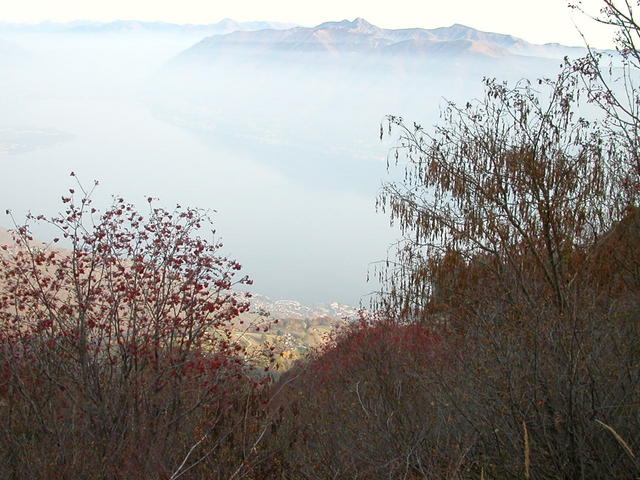 640x480/dscn6807.jpg