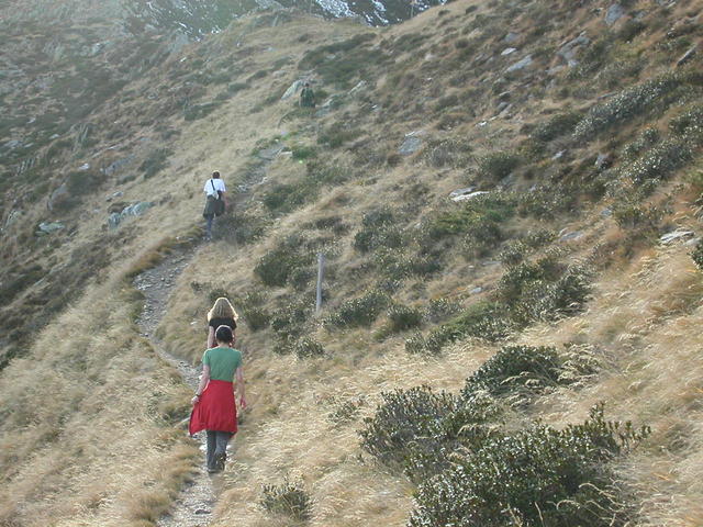 640x480/dscn6821.jpg