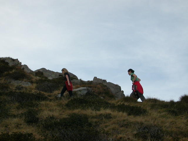 640x480/dscn6824.jpg