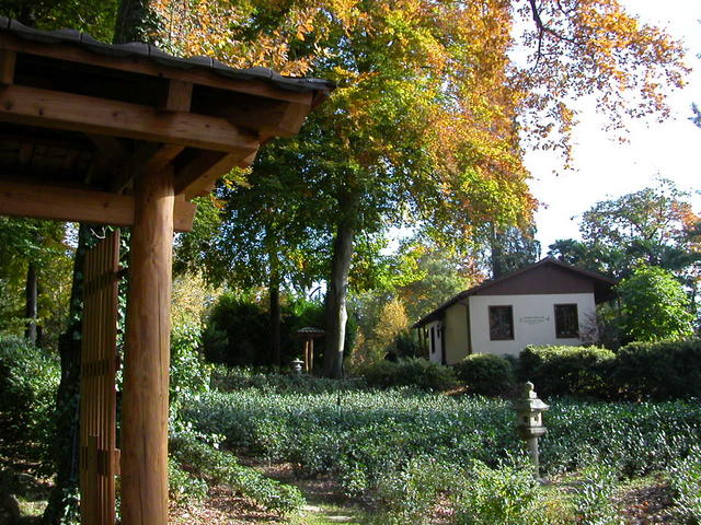 640x480/dscn6771.jpg