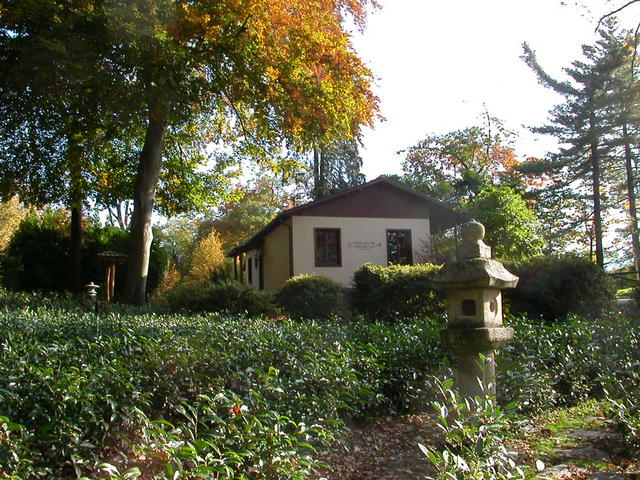 640x480/dscn6773.jpg