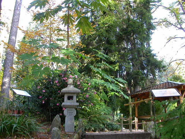 640x480/dscn6774.jpg