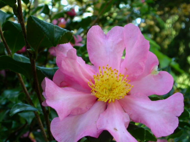 640x480/dscn6776.jpg