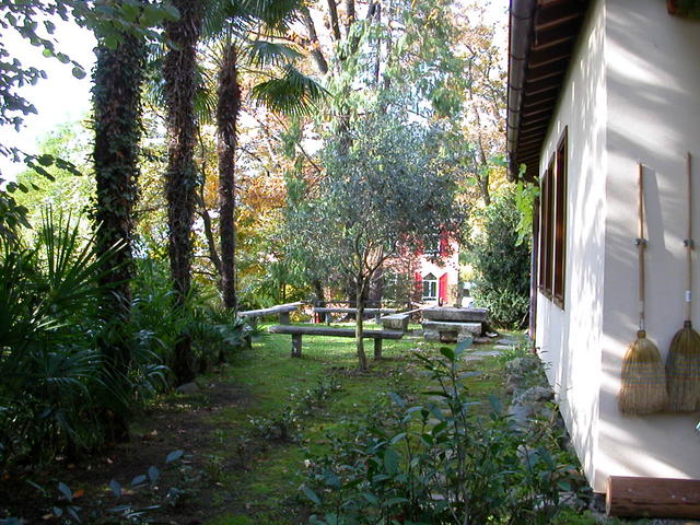 640x480/dscn6786.jpg