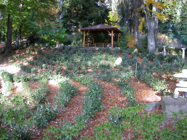 640x480/dscn6788.jpg